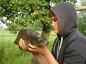 Fische ausnehmen