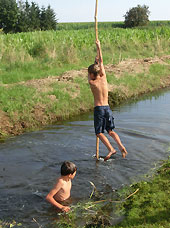 auf der Peene